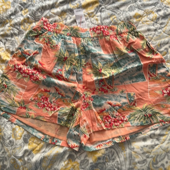 New American eagle shorts - Picture 1 of 2